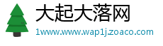 大起大落网