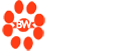百微