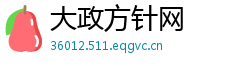 大政方针网