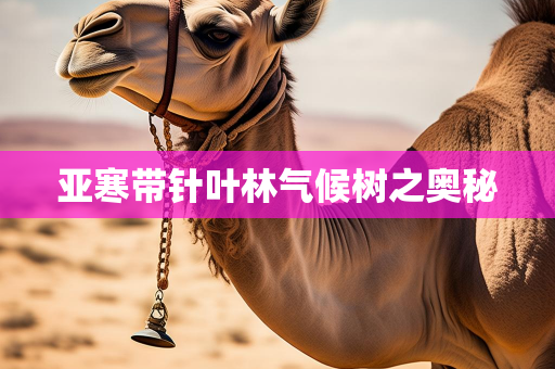 天气报告知识