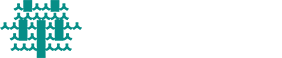 华人出国公司