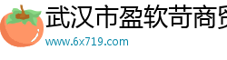 武汉市盈软苛商贸有限公司