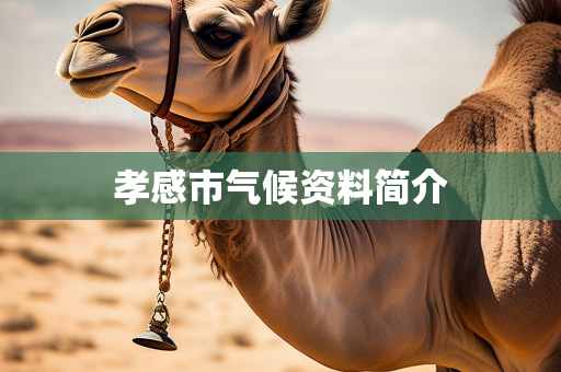 天气报告信息