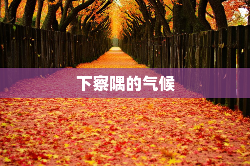 天气报告