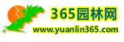 唐河县锦枫苗木