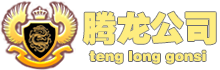 腾龙集团(中国区)有限公司官网