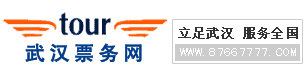 武汉票务网