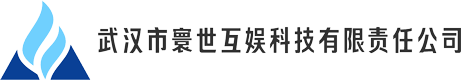 武汉市寰世互娱科技有限责任公司