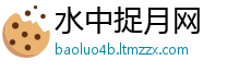 水中捉月网