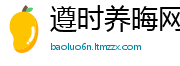 遵时养晦网