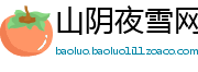 山阴夜雪网