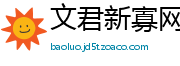 文君新寡网
