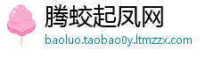 腾蛟起凤网