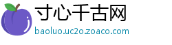 寸心千古网