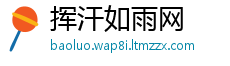 挥汗如雨网