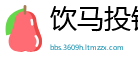 饮马投钱网