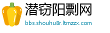 潜窃阳剽网