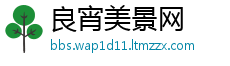 良宵美景网