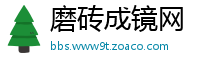 磨砖成镜网
