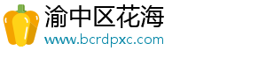 渝中区花海网络技术工作室（个体工商户）