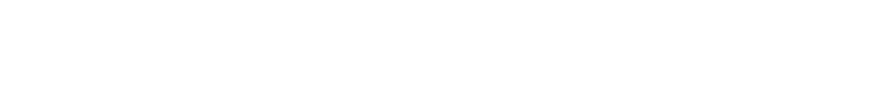 大数据与视觉智能研究所
