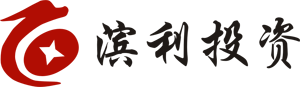 滨利投资