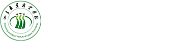 山东服装职业学院
