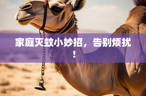 个人原创散文