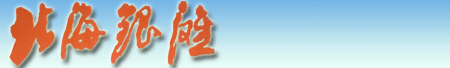 首页