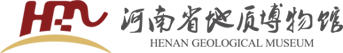 首页