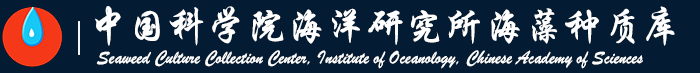 首页