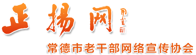 常德网宣协会