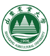 登录
