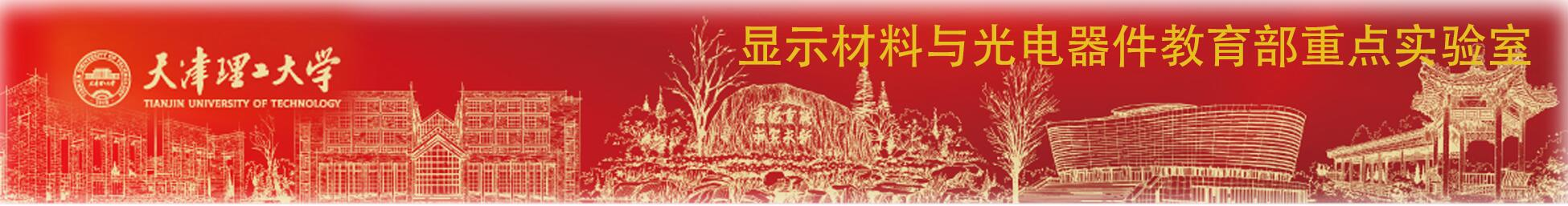 显示材料与光电器件(省部共建)教育部重点实验室