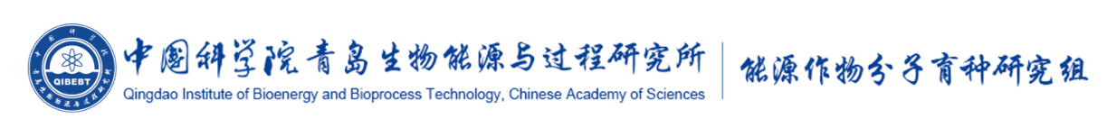 中国科学院