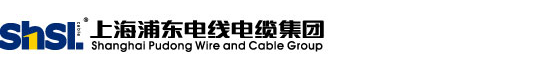 上海浦东电线电缆(集团)有限公司