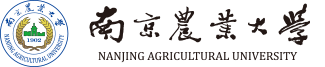 新时代人民日报语料库(NEPD)