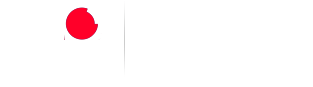 中国新区智力网