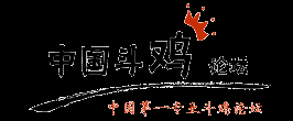 中国斗鸡论坛