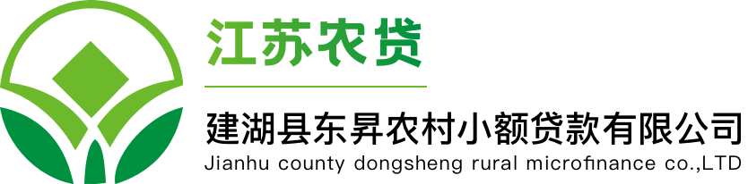 建湖县东昇农村小额贷款有限公司