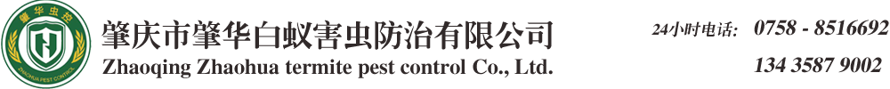 肇庆白蚁防治公司/肇庆杀虫公司/肇庆白蚁防治中心/肇庆白蚁专家