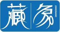 沈阳藏象科技有限公司