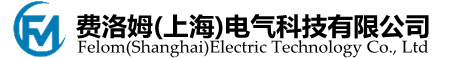 费洛姆(上海)电气科技有限公司