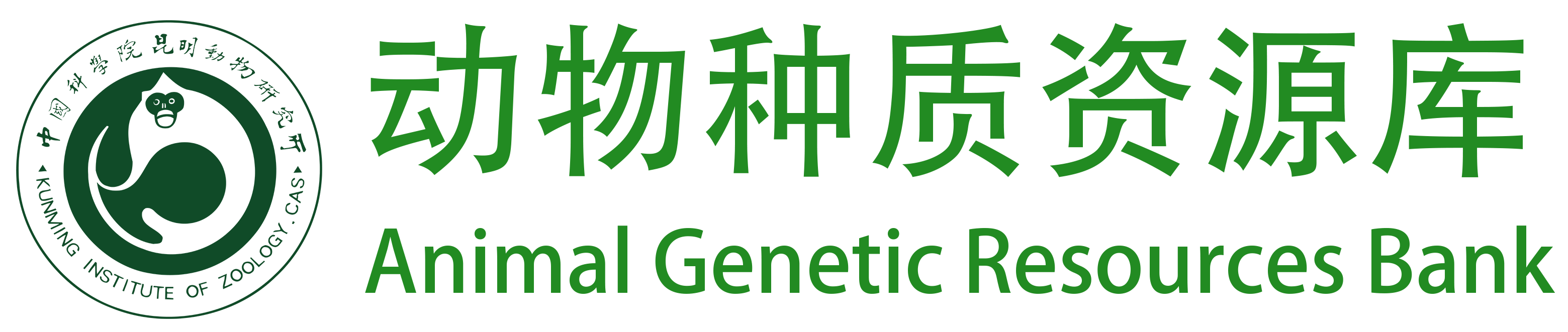 主页
