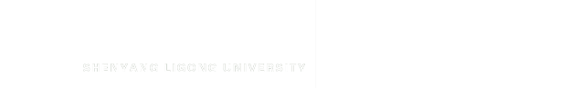 沈阳理工大学国际教育学院