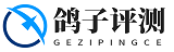 鸽子评测