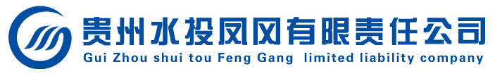 贵州水投凤冈有限责任公司