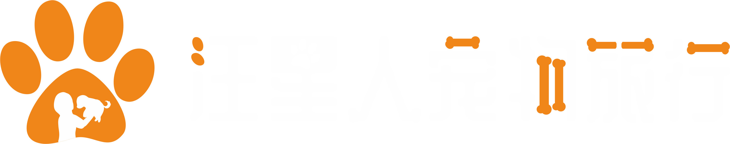 汪星人宠物旅行