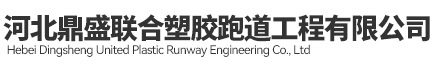 硅pu场地,塑胶跑道,EPDM场地