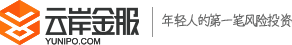 云岸金服